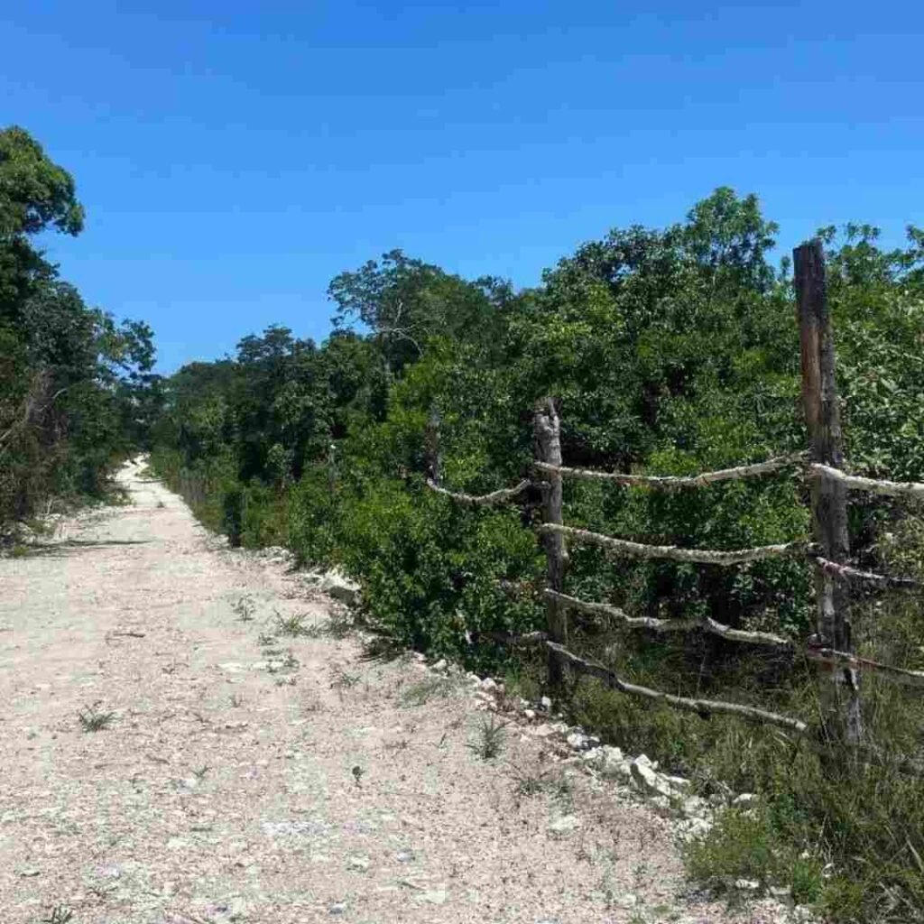 Camino de acceso a terreno en Playa del Carmen